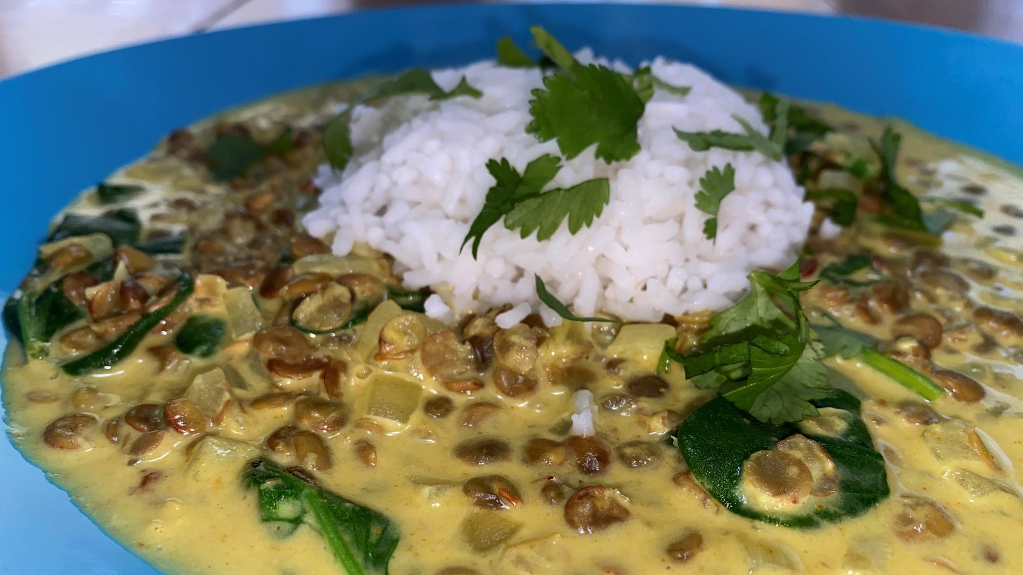 Green Lentil Curry